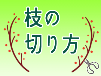 枝の切り方