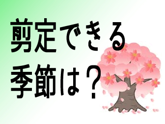 剪定できる時期