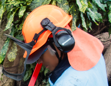 ネックプロテクションがついた林業用のヘルメット