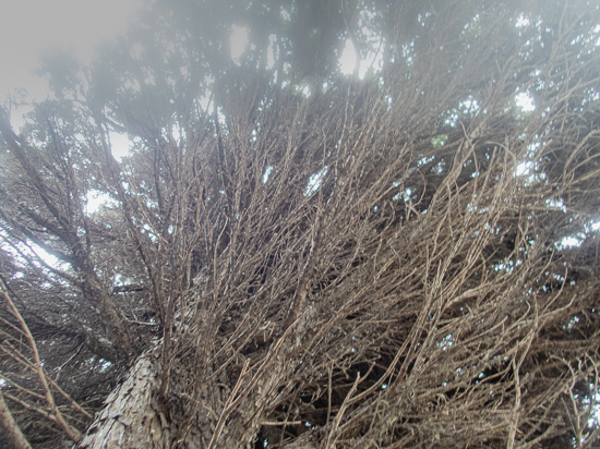 ゴールドクエストの内側