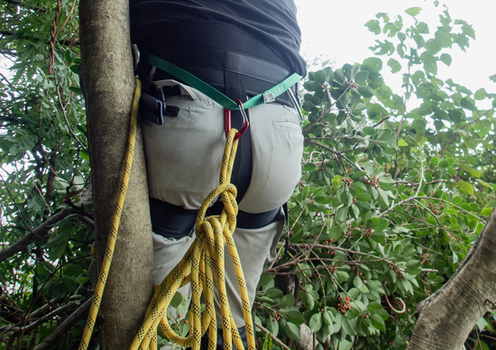 ハーネスに座る