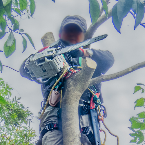 帽子をかぶって作業