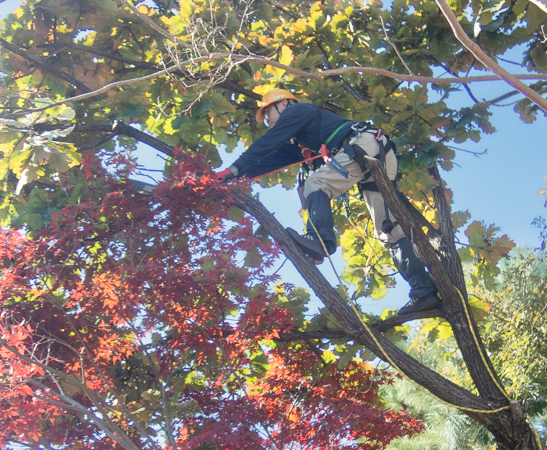 難しいポーズもランヤードがあるので安心して